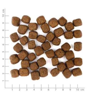 WOLFSBLUT Grey Peak Goat with sweet potatoes - dry dog food - 12,5kg