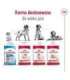 ROYAL CANIN Adult Medium - dry dog food - 4kg