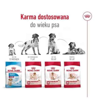 ROYAL CANIN Adult Medium - dry dog food - 4kg