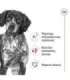 ROYAL CANIN Adult Medium - dry dog food - 4kg