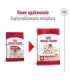 ROYAL CANIN Adult Medium - dry dog food - 4kg