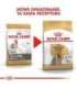ROYAL CANIN BHN Yorkshire Terrier Adult dry dog food - 7.5 kg
