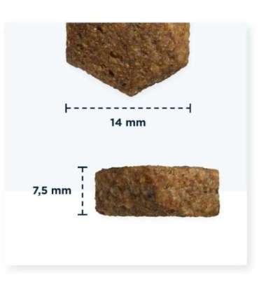 Eukanuba Dermatosis FP for Dogs 5 kg Adult Fish, Potato