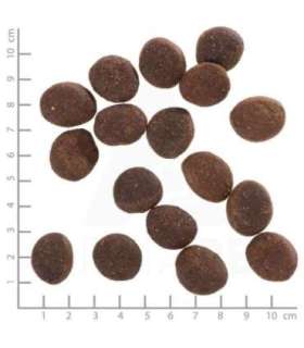 WOLFSBLUT Polar Night Reindeer with sweet potatoes - dry dog food - 12,5kg