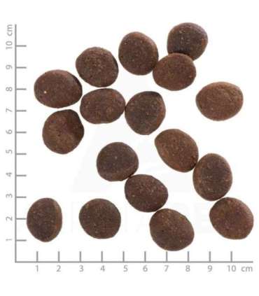 WOLFSBLUT Polar Night Reindeer with sweet potatoes - dry dog food - 12,5kg