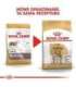 ROYAL CANIN Bulldog Adult - dry dog food - 12 kg