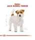 ROYAL CANIN Jack Russell Adult - Dry dog food - 7.5 kg