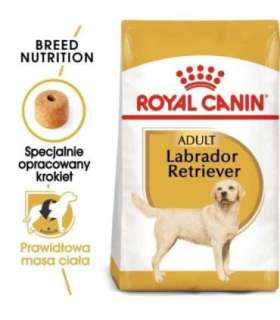 ROYAL CANIN Labrador Adult - dry dog food - 12 kg