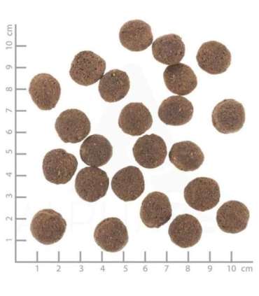 WOLFSBLUT VetLine Hypoallergenic Horse - dry dog food - 12kg