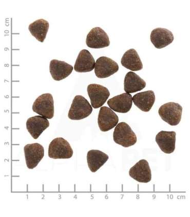 WOLFSBLUT Wide Plain Horse - dry dog food - 2kg