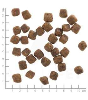 WOLFSBLUT Black Bird Turkey - dry dog food - 12,5kg