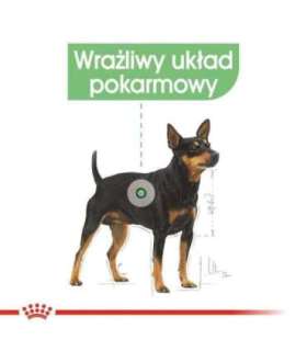 ROYAL CANIN Mini Digestive Care - dry dog food for adult small breeds - 1kg