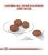 ROYAL CANIN Mini Digestive Care - dry dog food for adult small breeds - 1kg