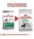 ROYAL CANIN Mini Digestive Care - dry dog food for adult small breeds - 1kg