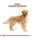 ROYAL CANIN BHN Golden Retriever dry dog food - 12kg