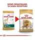ROYAL CANIN BHN Golden Retriever dry dog food - 12kg