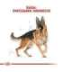 ROYAL CANIN BHN German Shepherd Adult dry dog food - 11kg