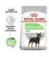 ROYAL CANIN CCN Mini Digestive Care - dry dog food - 3 kg