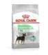 ROYAL CANIN CCN Mini Digestive Care - dry dog food - 3 kg