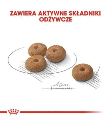 ROYAL CANIN Mini Sterilised - dry food for adult dogs, small breeds, after sterilisation - 1kg