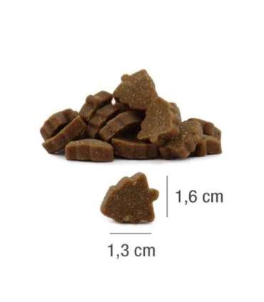 PLATINUM Xmas-Bits Iberico - dog treat - 150g