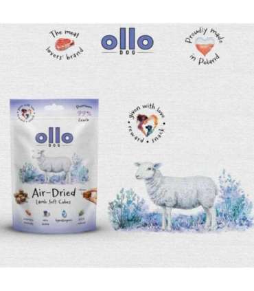 OLLO Air Dried Training Lamb Cubes - dog treat - 80g