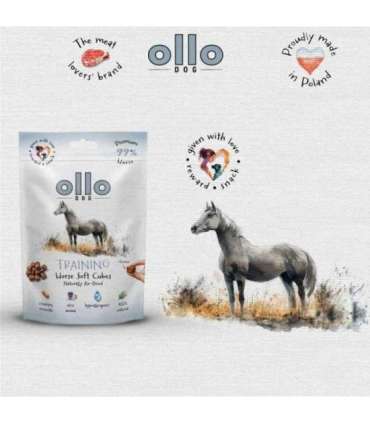 OLLO Air Dried Training Horse Cubes - dog treat - 80g