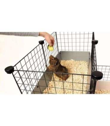 C&C Modular cage 4x2 + Loft 2x1+ grey ramp