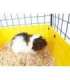 C&C Modular cage 3x2 110x75 cm guinea pig, hedgehog, silver grey