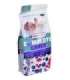 VERSELE LAGA Complete Crock Berry - treat for rodents - 50g