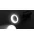 Ledlenser 502987 flashlight Black Hand flashlight LED