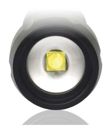 LED flashlight  everActive FL-300+