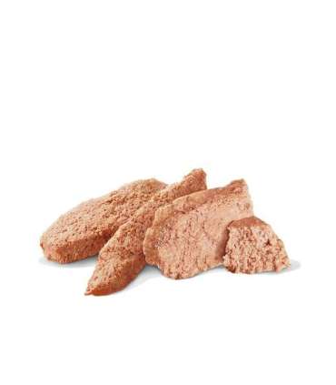 ROYAL CANIN Gastrointestinal High Fibre Loaf VHN - wet dog food - 200g