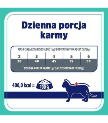 VET RESPONSE Gastrointestinal - dry cat food - 400g