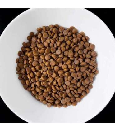 VET RESPONSE Gastrointestinal - dry cat food - 400g