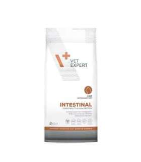 VET EXPERT Veterinary Diet Intestinal Cat - dry food for cats - 2 kg