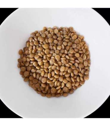 VET RESPONSE Hypoallergenic - dry cat food - 400g