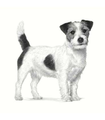 ROYAL CANIN Anallergenic Small VHN - dry dog food - 1,5kg