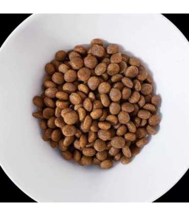 VET RESPONSE Hypoallergenic - dry dog food - 8kg