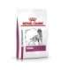 ROYAL CANIN Veterinary Renal dry dog food - 2kg