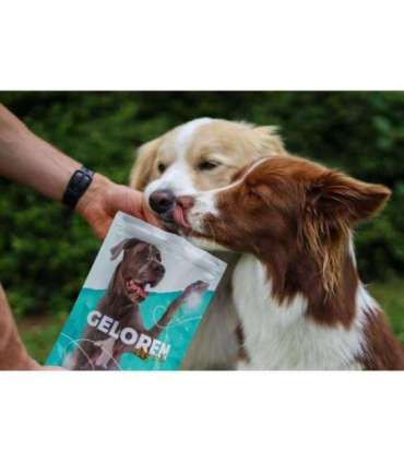 GELOREN Large dog Joints - dog vitamins - 420g