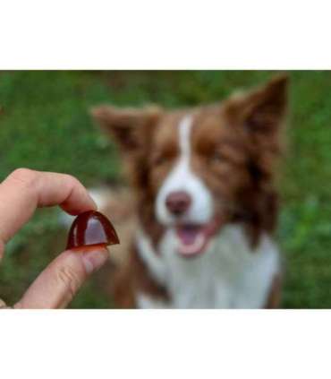 GELOREN Large dog Joints - dog vitamins - 420g