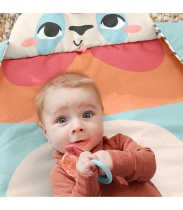 Fisher-Price Planet Friends Roly-Poly Panda Baby Activity Play Mat with 2 Toys