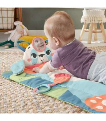 Fisher-Price Planet Friends Roly-Poly Panda Baby Activity Play Mat with 2 Toys