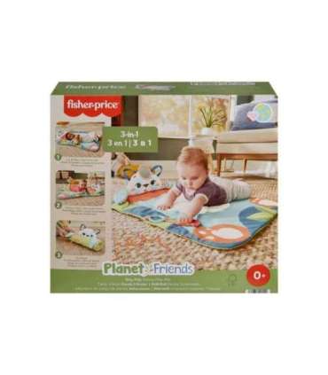 Fisher-Price Planet Friends Roly-Poly Panda Baby Activity Play Mat with 2 Toys