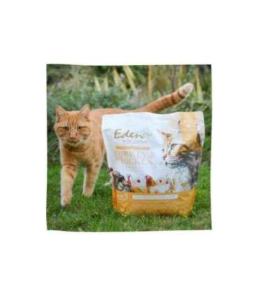 EDEN Turkey & Chicken - dry cat food - 1.5 kg