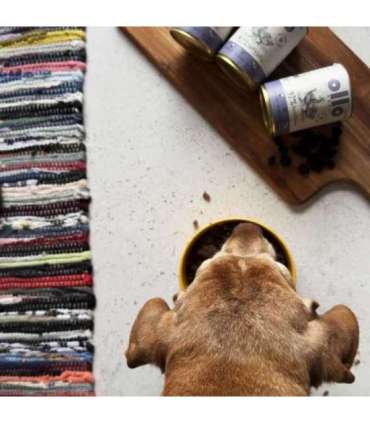 OLLO Umami Duck and turkey - wet dog food - 850g