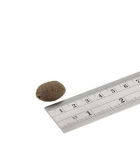 Fish4Dogs Finest Salmon Adult 12kg