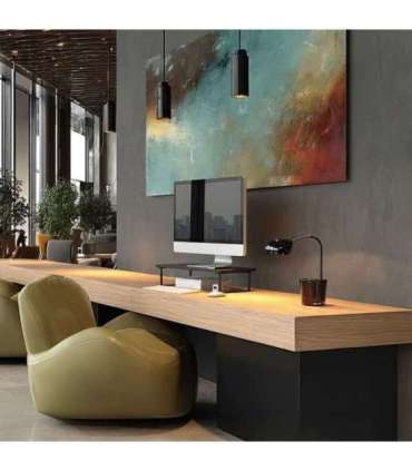 Maclean MC-933 Monitor/Laptop stand, max. 20kg, (500x260x122mm)