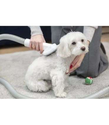 MPM MOD-1000 HOME CARE DEVICE FOR DOGS AND CATS